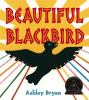 Book Jacket