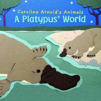 Book Jacket