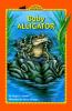 Book Jacket