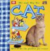 Book Jacket