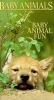 Book Jacket