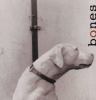 Book Jacket