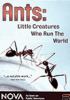 Book Jacket