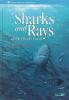 Book Jacket