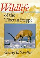 steppe
