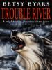 Book Jacket