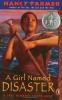 Book Jacket