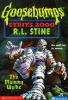 Book Jacket