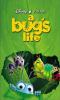 Book Jacket