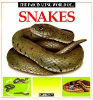 Book Jacket