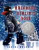 Book Jacket