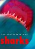 Book Jacket