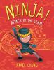 Book Jacket for: Ninja! attack of the clan