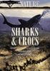 Book Jacket