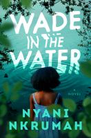 Book Jacket for: Wade in the water