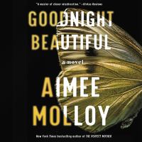 Book Jacket for: Goodnight beautiful a novel