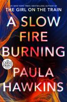 Book Jacket for: A slow fire burning