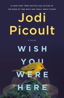 Book Jacket for: Wish you were here