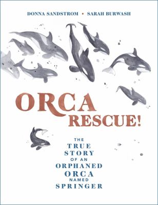 Orca rescue! : the true story of an orphaned orca named Springer