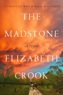 The madstone : a novel