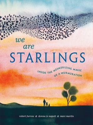 We are starlings : inside the mesmerizing magic of a murmuration