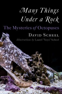 Many things under a rock : the mysteries of octopuses